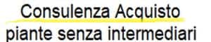 Richiedi una consulenza per l'acquisto di piante
